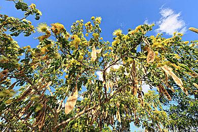 《Slayscape》Steam页面上线 PvPvE卡牌战斗