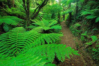 Xbox和NS玩家现在可以免费游玩《星球大战》试玩版